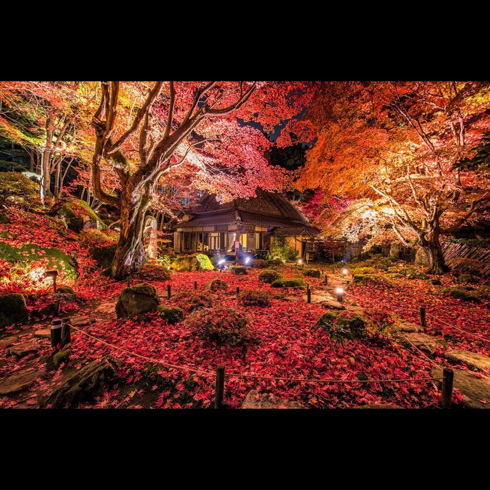 Meet your Posher, Logan